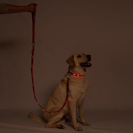 Super Bright Illuminated Dog Leash Runs Over 7 Hours For Dogs Walking Training
